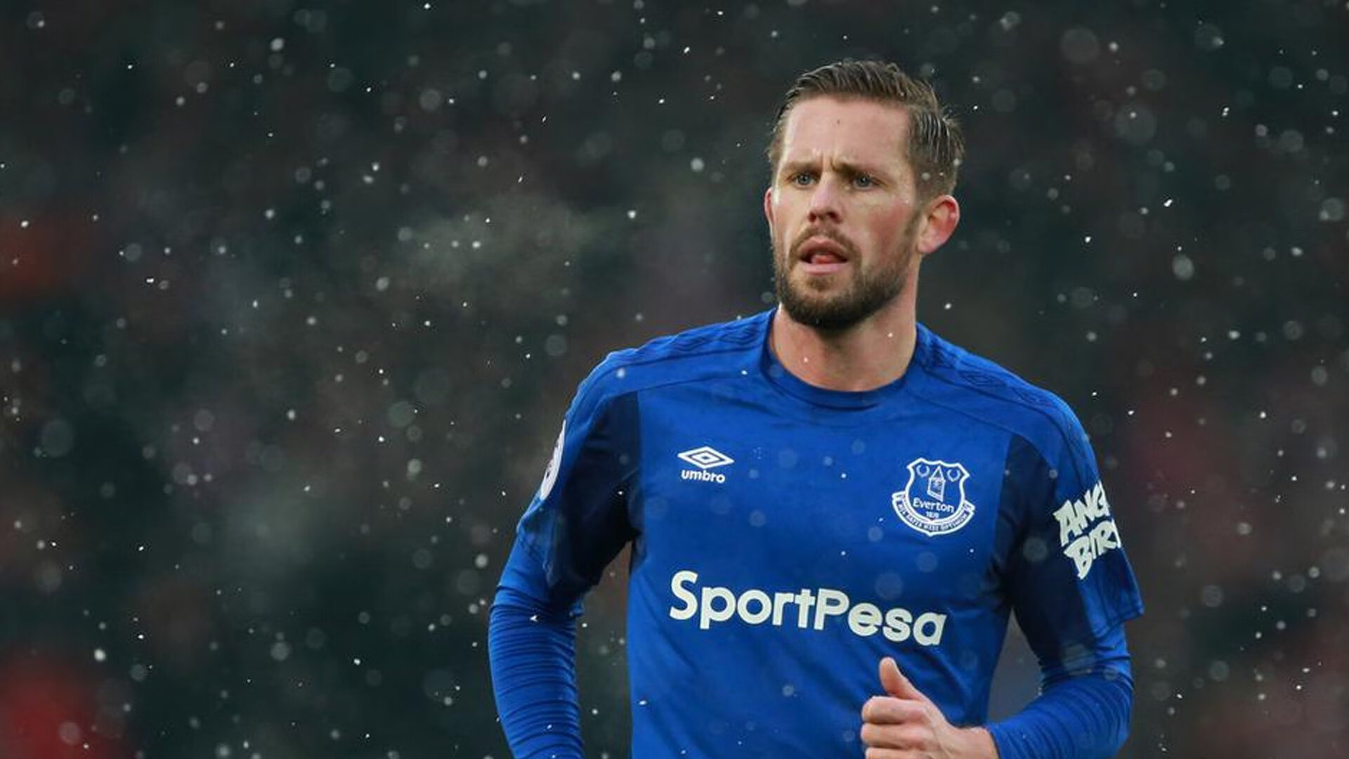  马龙的励志故事简短50字 -乐鱼